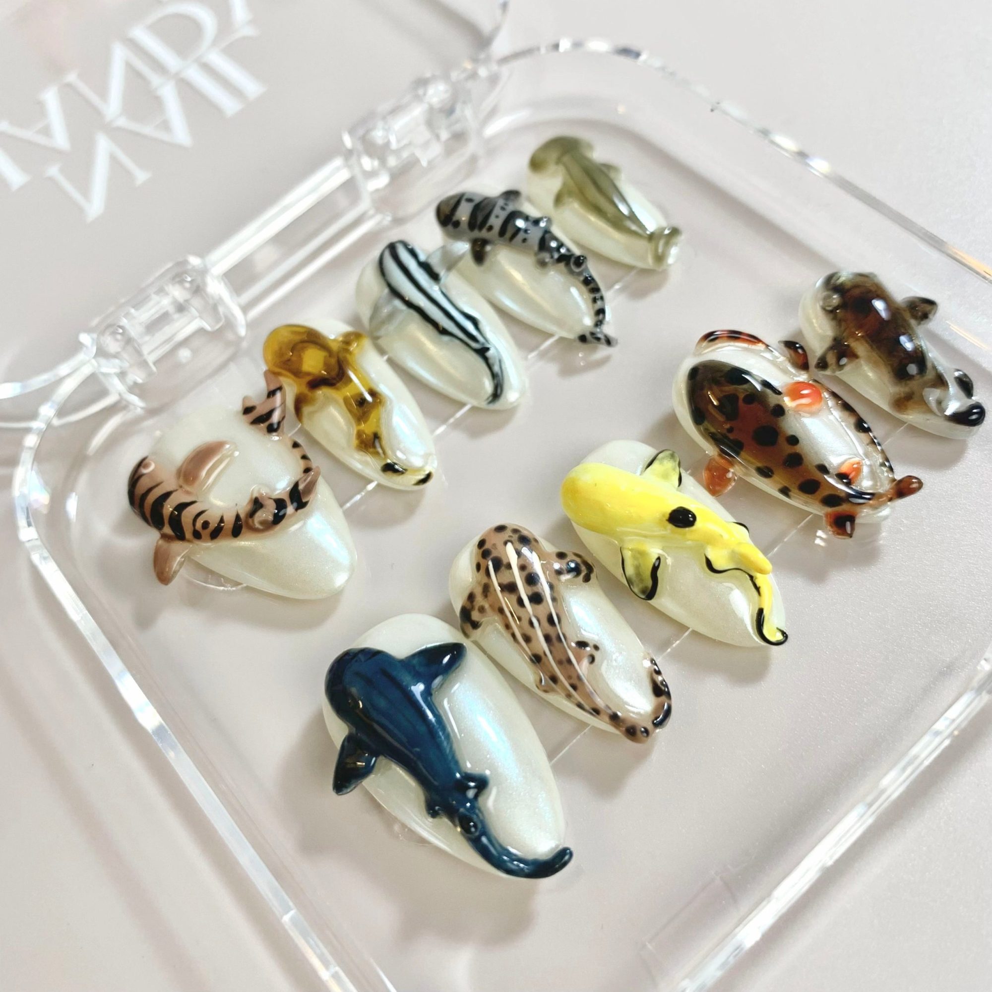 Shark Frenzy - Image 4